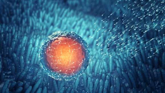 In vitro a naprotechnologia Zdrowie, LIFESTYLE - 30 czerwca bieżącego roku zakończy się „Program Leczenia Niepłodności Metodą Zapłodnienia Pozaustrojowego na lata 2013 – 2016” - według danych podanych na rządowej stronie invitro.gov.pl do dnia 7 grudnia dzięki niemu urodziło się już 3841 dzieci..