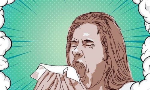 Roztocza jak z nimi walczyć? 5 porad eksperta marki Wendre