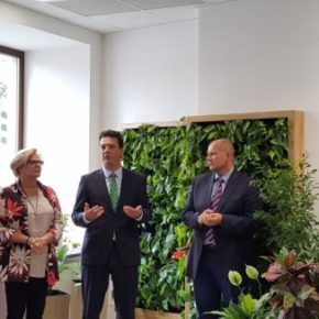 Kreatywna Zieleń w Centrum Kreatywności Targowa