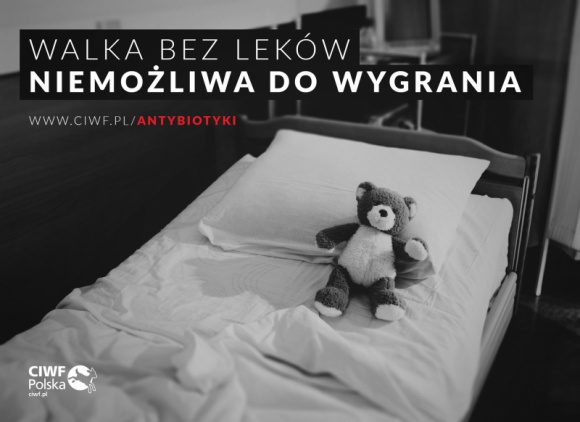Światowy tydzień wiedzy o antybiotykach (13-19 listopada). Zdrowie, LIFESTYLE - Organizacja CIWF Polska przypomina z tej okazji jak wygląda sytuacja w Polsce i jak niebezpieczne dla ludzkiego zdrowia jest nadużywanie antybiotyków w hodowli zwierząt.
