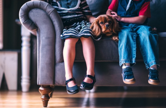 Gdy dziecko ma alergię na czworonożnego przyjaciela... Zdrowie, LIFESTYLE - Kiedy na świat przychodzi dziecko, rodzice, którzy są właścicielami psa bardzo często zadają sobie pytanie czy zwierzę i noworodek pod jednym dachem to faktycznie dobre rozwiązanie?