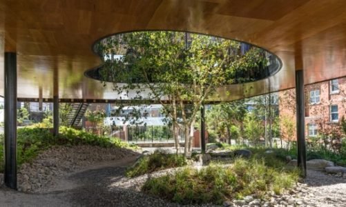 Maggie’s Centre, czyli natura w architekturze a dobrostan człowieka