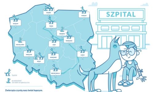 Potwierdzone naukowo – psy pomagają w terapii ADHD u dzieci