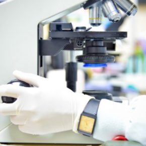 Biopsja jąder – na czym polega i kiedy się ją stosuje?
