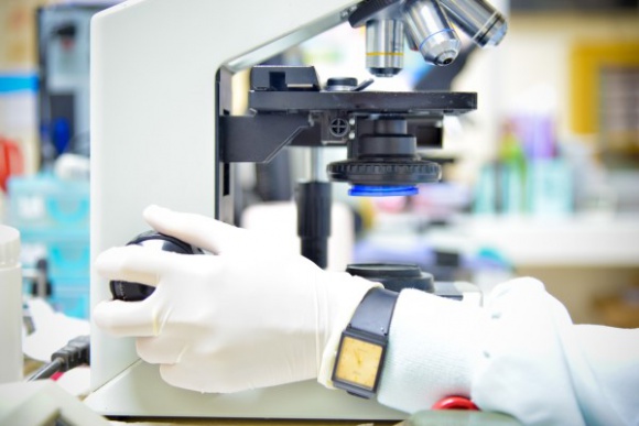 Biopsja jąder – na czym polega i kiedy się ją stosuje? Zdrowie, LIFESTYLE - Jak zdiagnozować przyczynę męskiej niepłodności kiedy nie ma plemników w ejakulacie ? Należy zbadać czy w jądrze zachowana jest produkcja plemników.