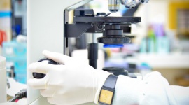 Biopsja jąder – na czym polega i kiedy się ją stosuje? Zdrowie, LIFESTYLE - Jak zdiagnozować przyczynę męskiej niepłodności kiedy nie ma plemników w ejakulacie ? Należy zbadać czy w jądrze zachowana jest produkcja plemników.