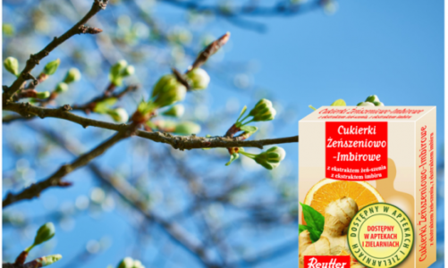 Naturalne wsparcie na wiosnę