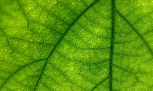 Świadomość klimatyczna Polaków: ile tak naprawdę wiemy o postępujących zmianach