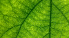 Świadomość klimatyczna Polaków: ile tak naprawdę wiemy o postępujących zmianach Zdrowie, LIFESTYLE - Niemal każdy z nas uważa, że zmiany klimatu są poważnym problemem. Obawiamy się skutków zmian klimatu – wichur, powodzi, suszy. Widzimy, że troska o środowisko to troska o zdrowie człowieka (...)