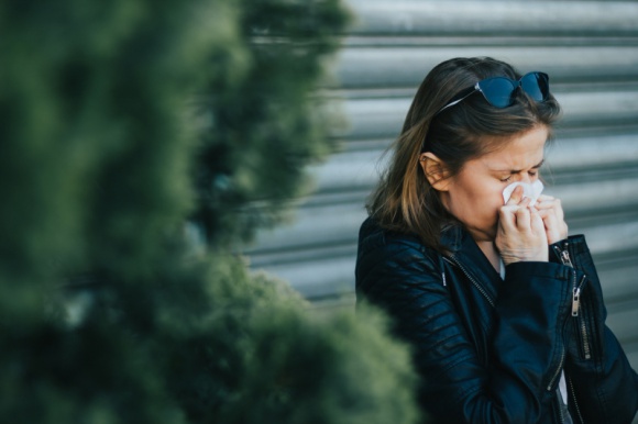Alergia na pleśń – jak z nią walczyć? Zdrowie, LIFESTYLE - Według prognoz Europejskiej Akademii Alergologii i Immunologii Klinicznej w 2025 r. z alergiami będzie zmagać się już połowa Europejczyków. Głównymi podejrzanymi są zazwyczaj pyłki czy roztocza, jednak powodem złego samopoczucia mogą być także zarodniki grzybów pleśniowych.