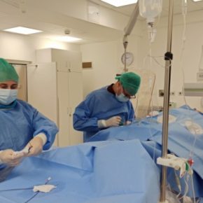 Pomoc prosto z serca, czyli kardiologiczne wsparcie dla mieszkańców Bielska